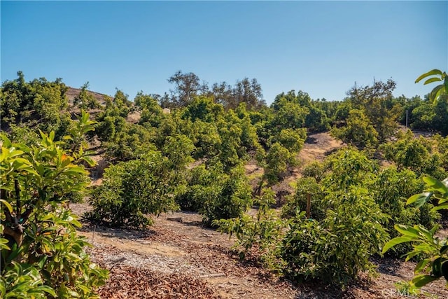 0 Camaron Rd, Temecula, CA 92590 - photo 9
