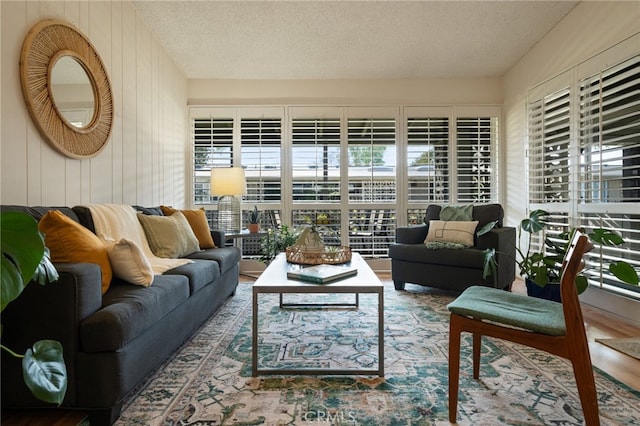 living room featuring a textured ceiling and wood finished floors