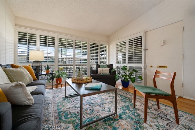 interior space featuring vaulted ceiling, a textured ceiling, and wood finished floors