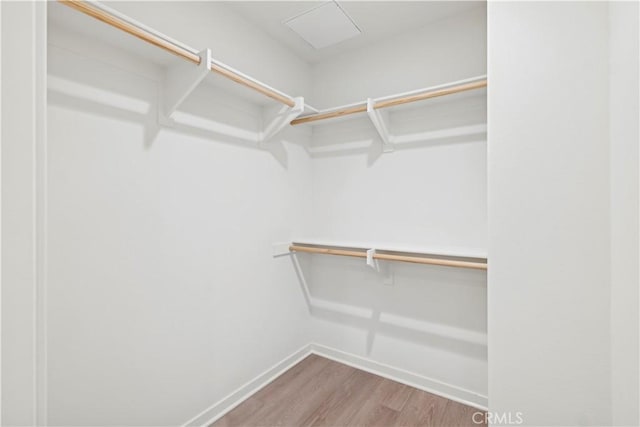 spacious closet featuring wood finished floors and attic access