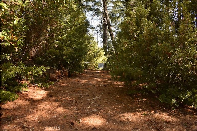 Listing photo 2 for 0 Juniper Ln, Strawberry Valley CA 95881