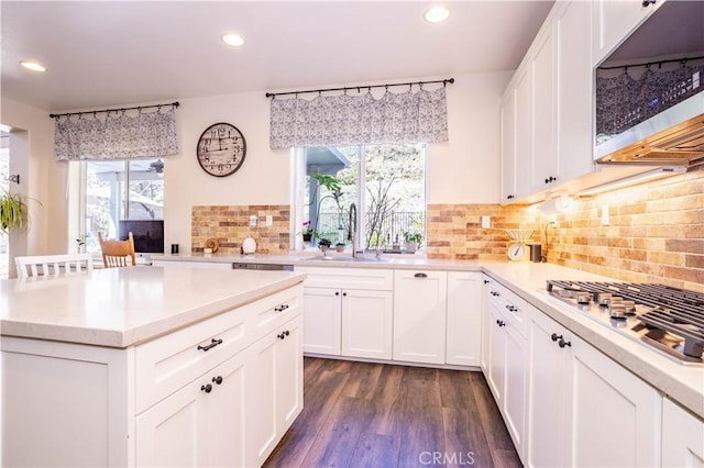 kitchen featuring dark wood finished floors, recessed lighting, stainless steel appliances, and a sink