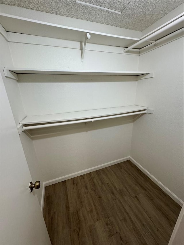 walk in closet with dark wood-type flooring