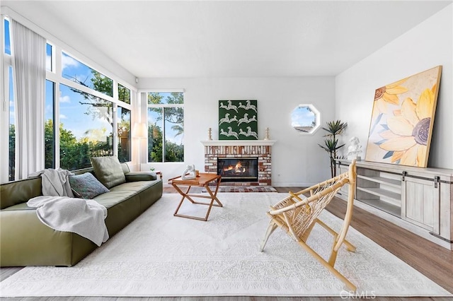 living room featuring a fireplace and wood finished floors