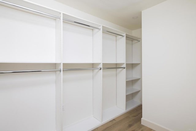 spacious closet featuring wood finished floors