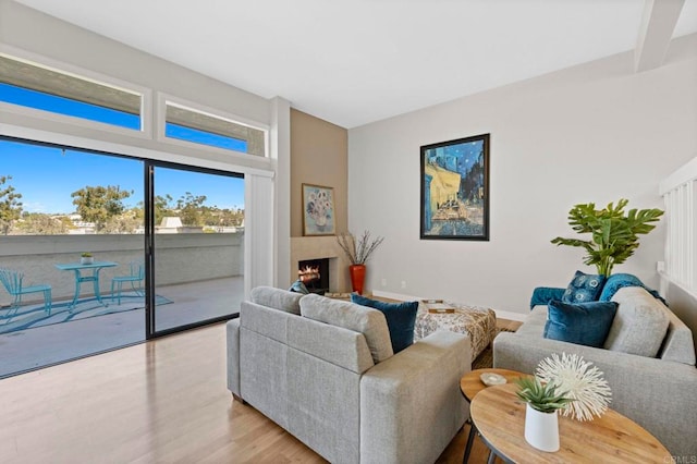 living room with a warm lit fireplace, a healthy amount of sunlight, baseboards, and wood finished floors