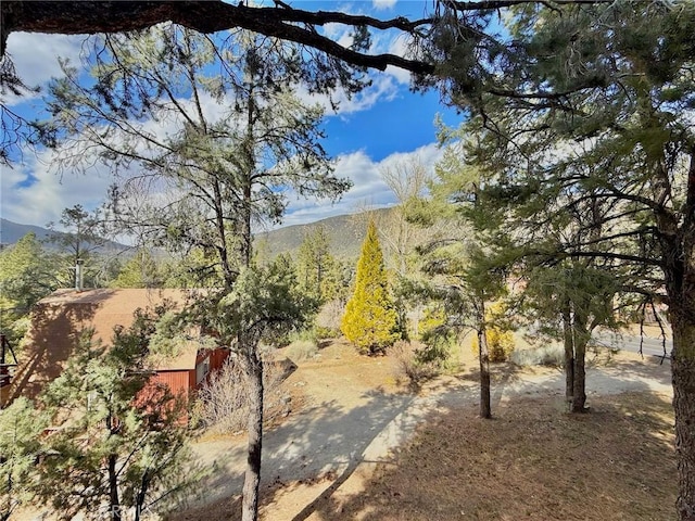 view of yard featuring a mountain view