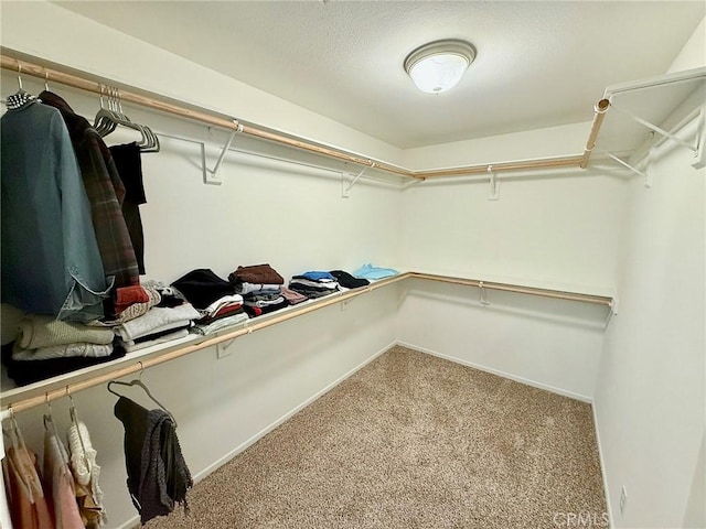 spacious closet featuring carpet floors