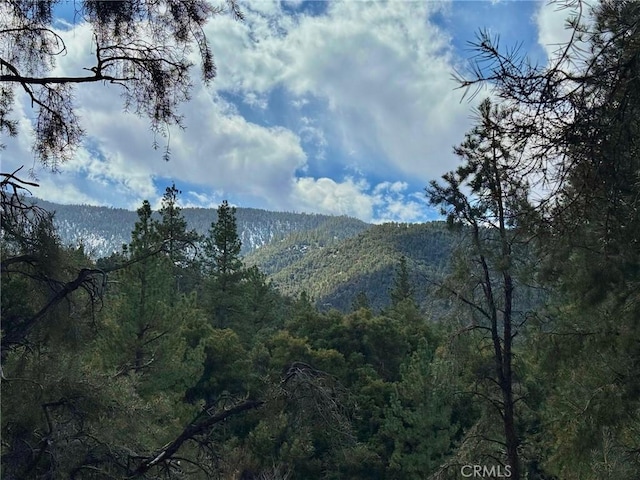 view of mountain feature with a forest view