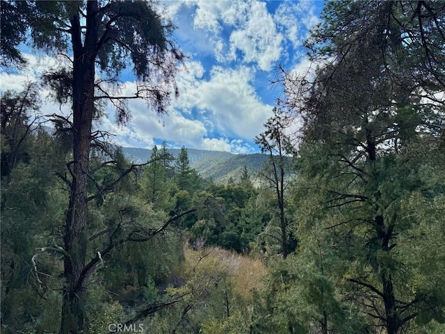 mountain view featuring a view of trees