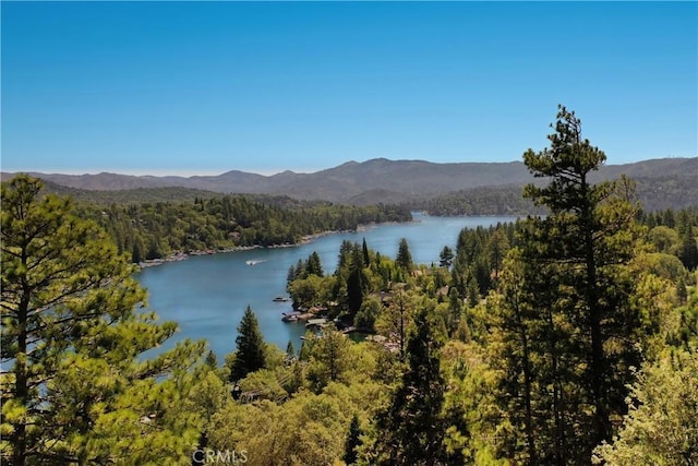 750 Zurich Dr, Lake Arrowhead, CA 92352 - water view with a heavily wooded area and a mountain backdrop
