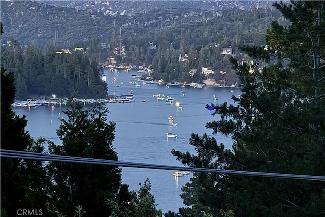 750 Zurich Dr, Lake Arrowhead, CA 92352 - water view