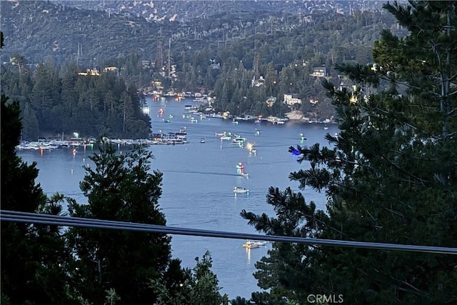 750 Zurich Dr, Lake Arrowhead, CA 92352 - water view