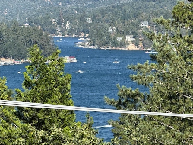 750 Zurich Dr, Lake Arrowhead, CA 92352 - water view