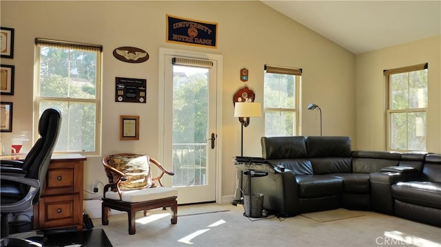 carpeted living room with lofted ceiling