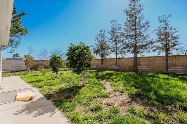 view of yard featuring a fenced backyard and a patio