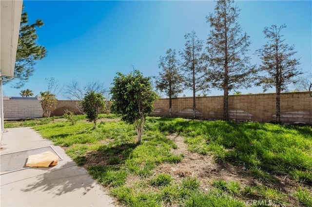 view of yard with a fenced backyard