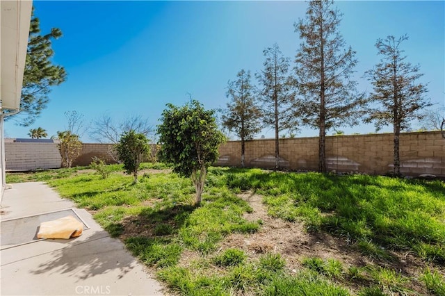 view of yard with a fenced backyard and a patio