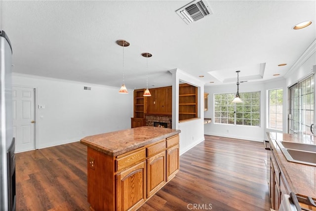 kitchen with a fireplace, visible vents, dark wood finished floors, and ornamental molding