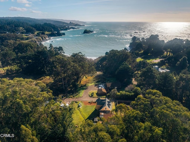 aerial view featuring a water view and a view of trees