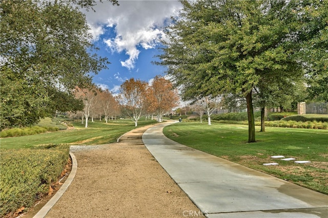 view of home's community with a lawn