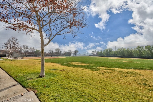 view of community featuring a lawn