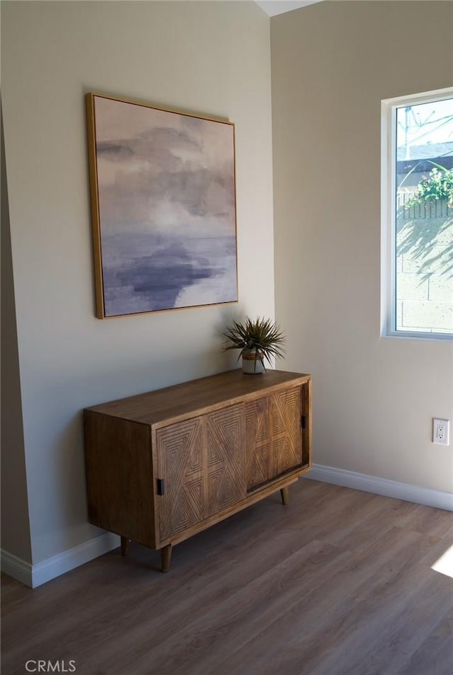 interior details with baseboards and wood finished floors