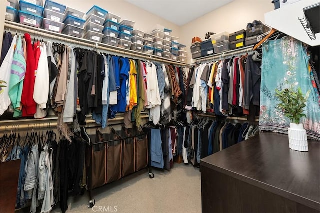 walk in closet featuring carpet flooring