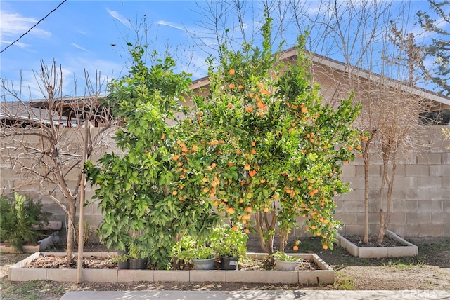 view of side of home with a garden