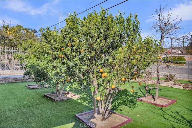 view of yard featuring fence