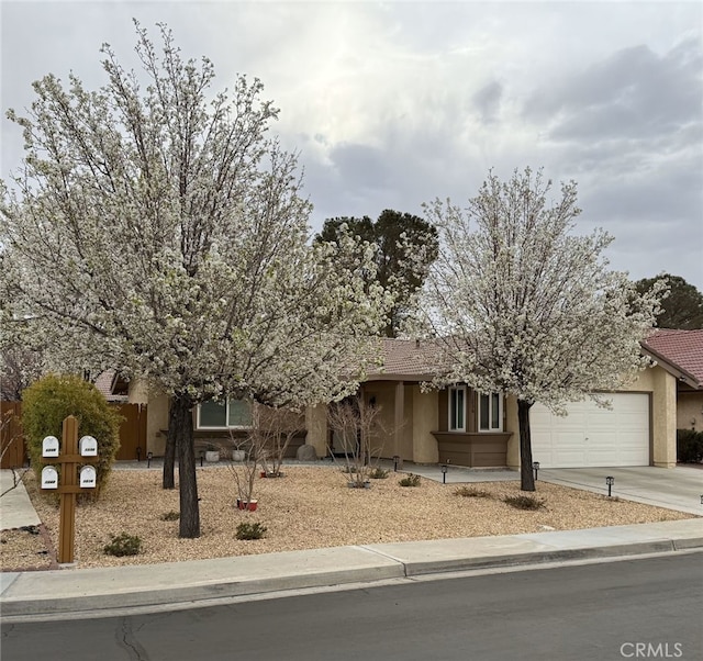 view of property hidden behind natural elements with a garage, driveway, a tile roof, and stucco siding