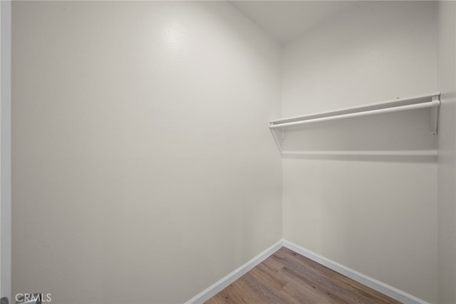 spacious closet featuring wood finished floors