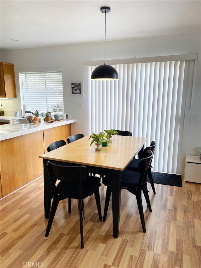 dining room featuring light wood finished floors