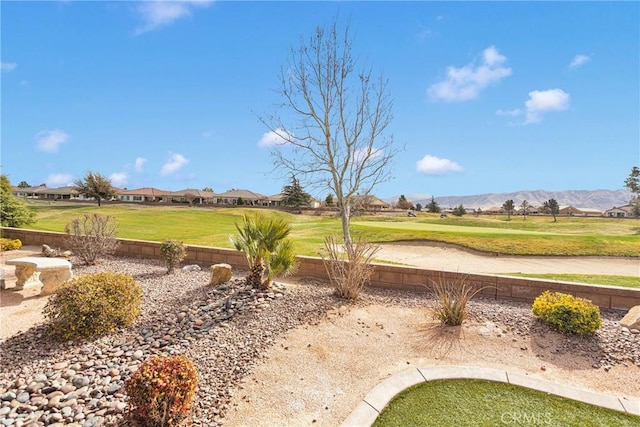 view of yard featuring a mountain view