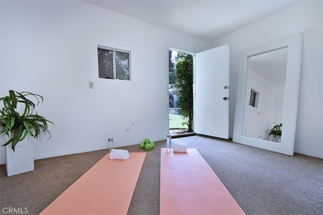 workout area featuring carpet flooring