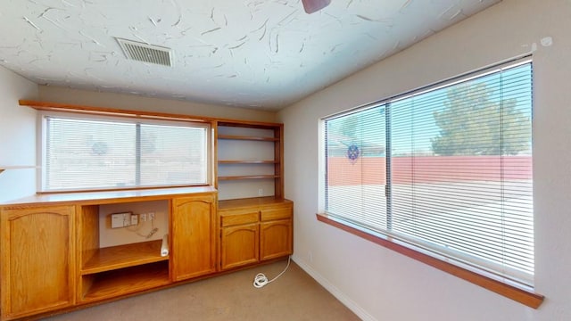 office with light colored carpet, visible vents, and baseboards