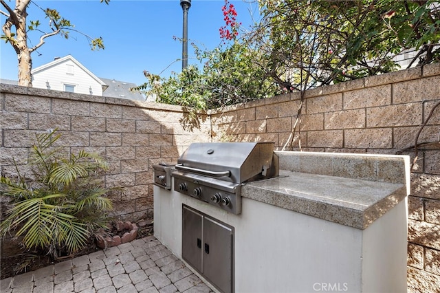 view of patio / terrace with exterior kitchen, area for grilling, and a fenced backyard