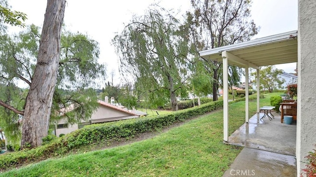 view of yard with a patio