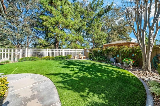 view of yard featuring a fenced backyard and a patio