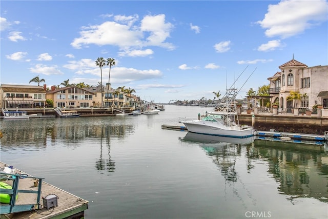 dock area with a water view