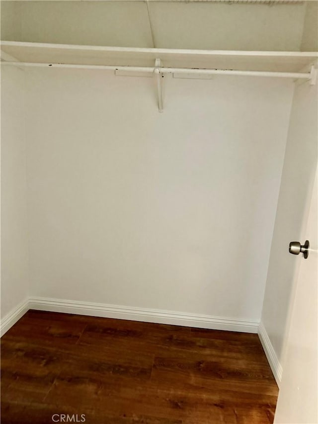 spacious closet featuring dark wood finished floors