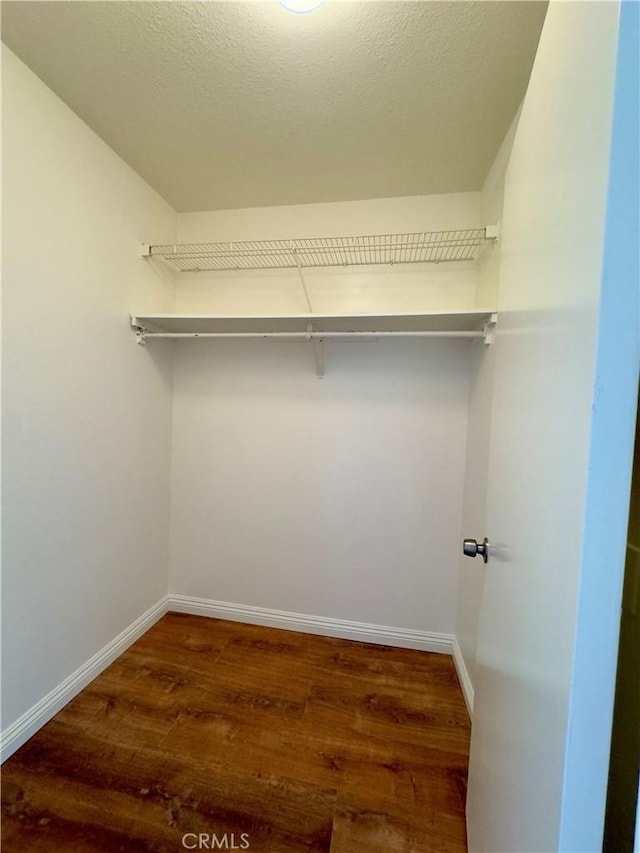 spacious closet featuring wood finished floors