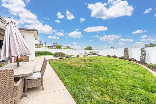 view of yard with a patio and a fenced backyard
