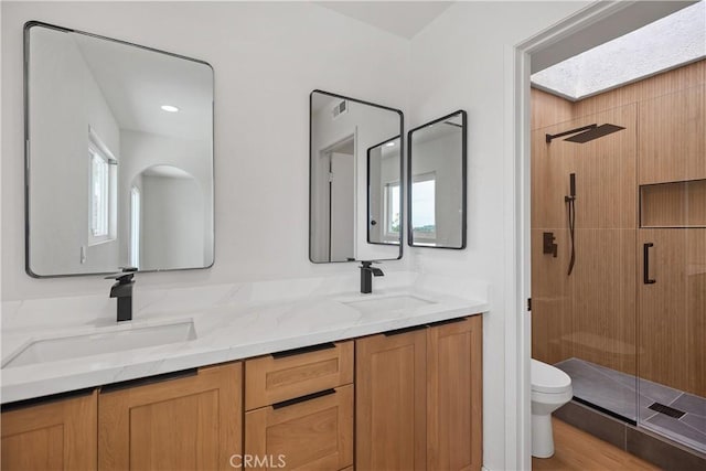 bathroom with toilet, a stall shower, double vanity, and a sink