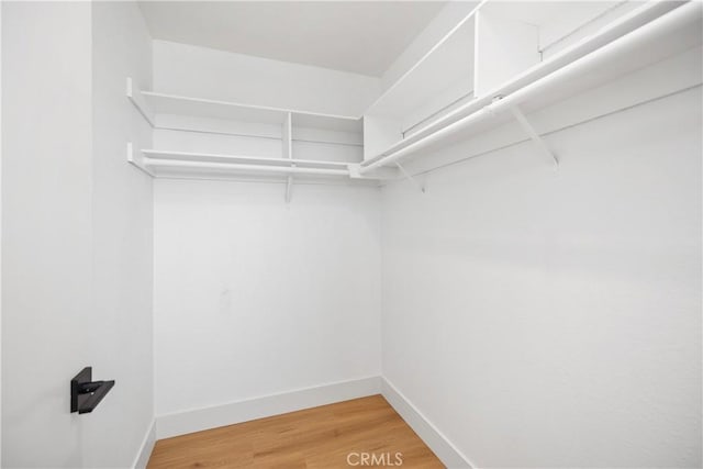 walk in closet with light wood finished floors