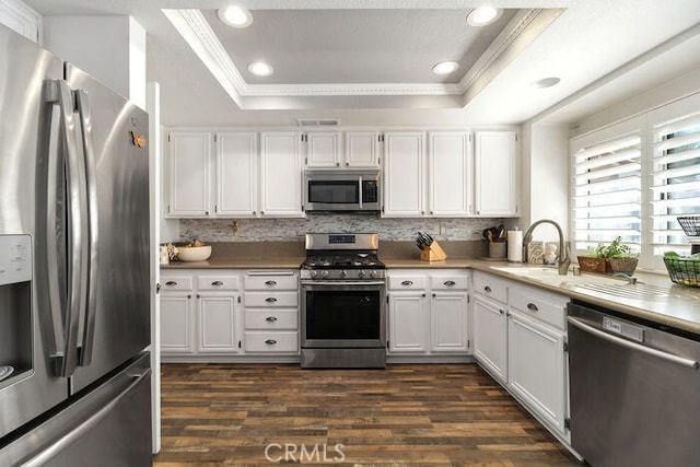 kitchen featuring a tray ceiling, dark wood-style flooring, a sink, appliances with stainless steel finishes, and crown molding