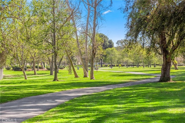 view of community featuring a lawn