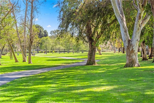 view of property's community featuring a lawn