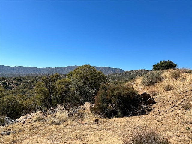 33 Broken Wheel, Anza, CA 92539