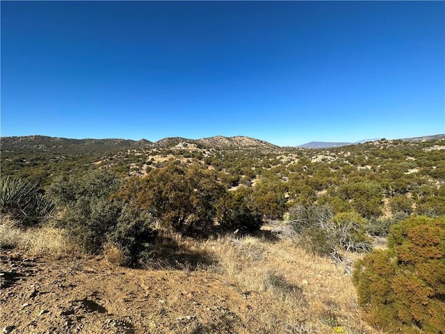 33 Broken Wheel, Anza, CA 92539